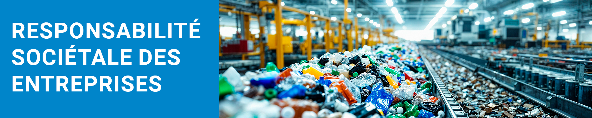 Formation responsabilité sociétale des entreprises - Claude Soullier